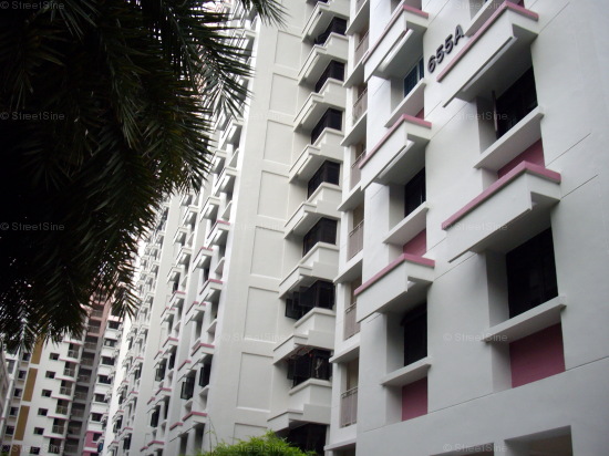 Blk 655A Jurong West Street 61 (Jurong West), HDB 5 Rooms #436542